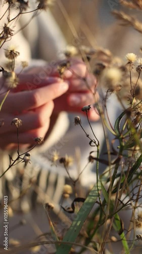 The video shows an individual interacting with nature, starting with hands gripping rope for stability, then holding a green plant and a flower, highlighting care and the humannature bond photo