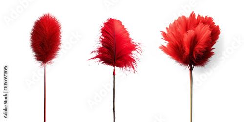 Red Feather Duster on a Transparent Background