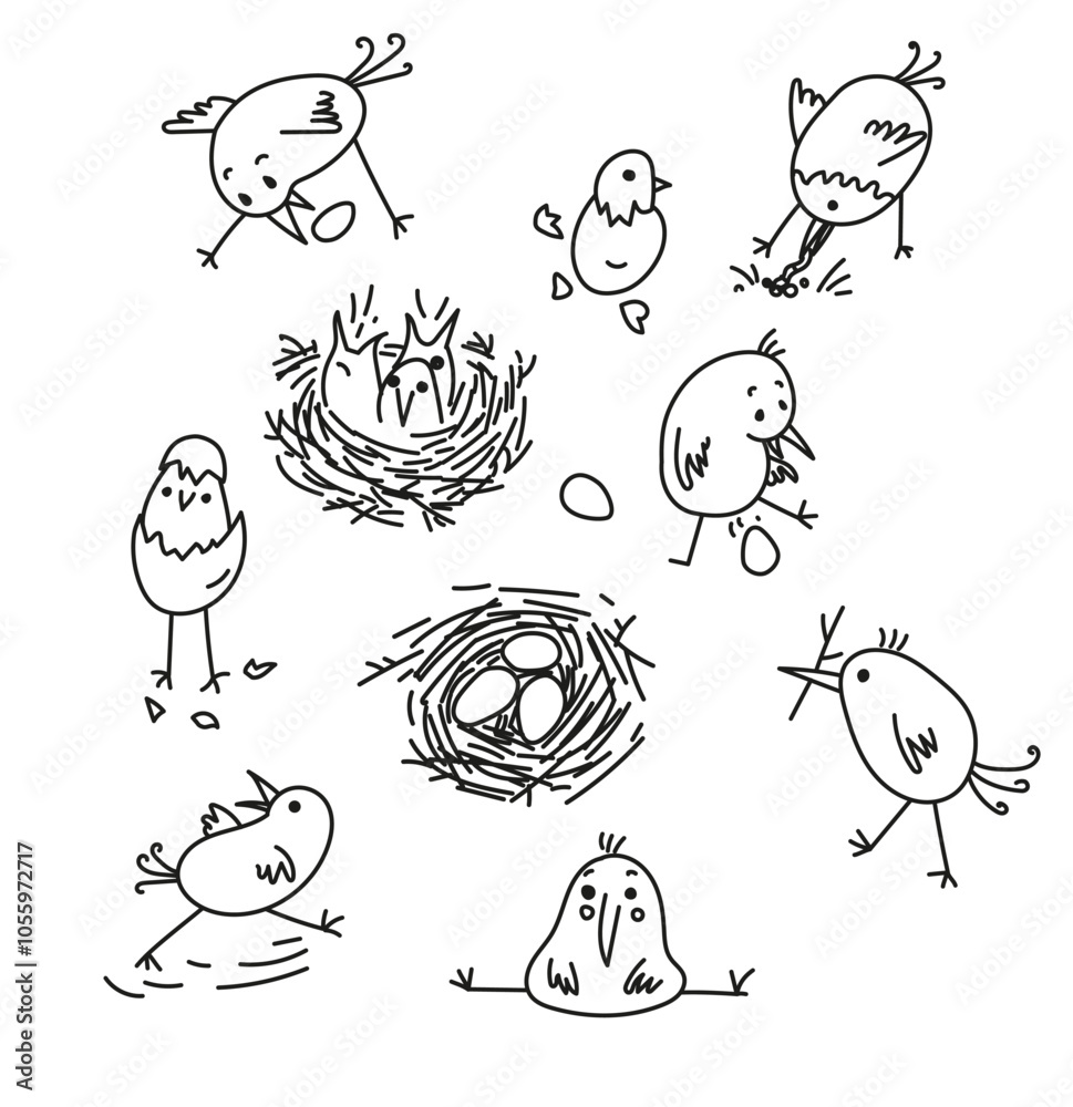 Fototapeta premium funny birds, building a nest, laying eggs, black outline doodle, sketch