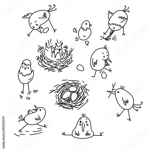 funny birds, building a nest, laying eggs, black outline doodle, sketch