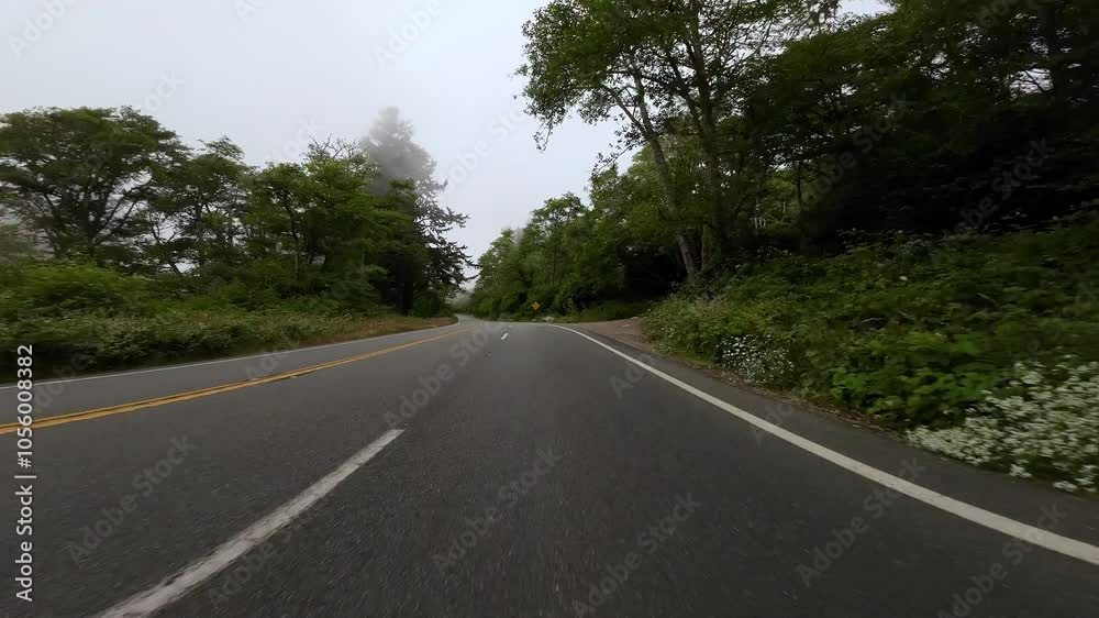 Foggy Coastal Highway 03 Front View 101 Northbound Driving Plates of California USA Ultra Wide Foggy Coastal Highway 03 Front View 101 Northbound Driving Plates of California USA Ultra Wide