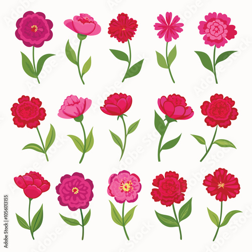 Beautiful sets of red and pink roses, floral vector illustrations perfect for spring and summer garden patterns