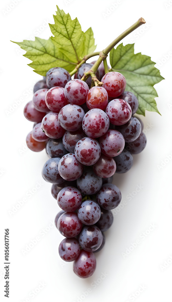 Fresh purple grapes with green leaves on a white background for healthy lifestyle promotion Fresh purple grapes with green leaves on a white background for healthy lifestyle promotion