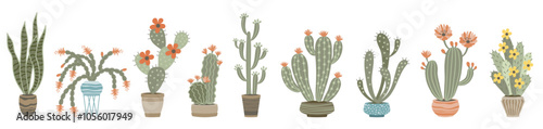 Home cacti and succulents set. Indoor houseplants in flowerpots. Trendy home decor with indoor plants 