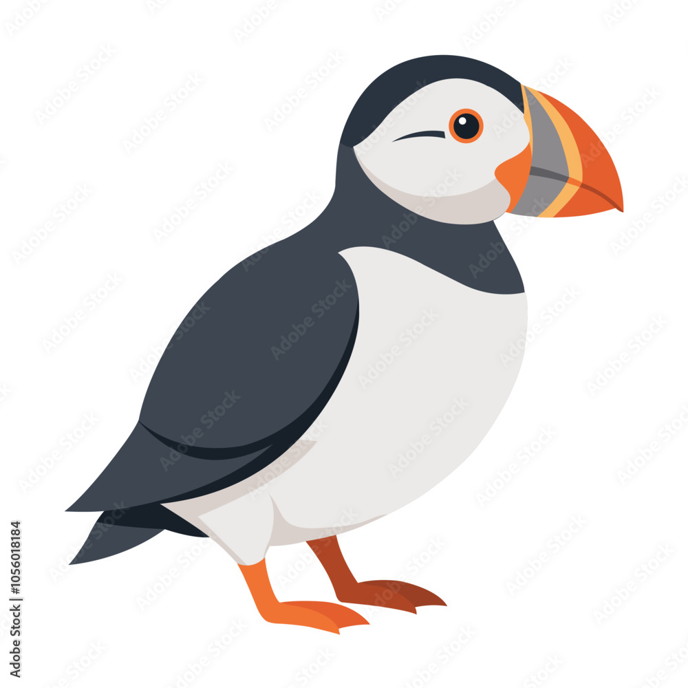 Illustration of Atlantic Puffin Isolated on white Illustration of Atlantic Puffin Isolated on white