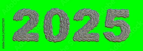 Steel barbed wire numbers of 2025 3D text on green back background.