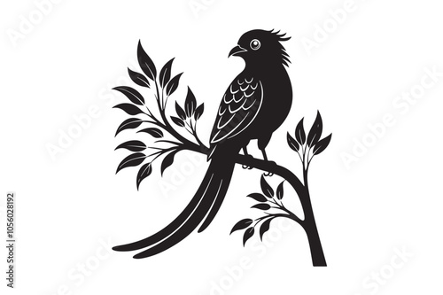 Resplendent Quetzal Silhouette vector illustration, Resplendent Quetzal Silhouette 