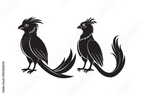 Resplendent Quetzal Silhouette vector illustration, Resplendent Quetzal Silhouette 