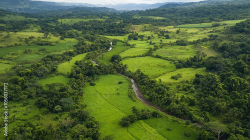 lush green valley with farmland, forests, and a small river.