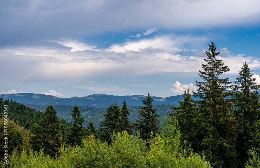 Beautiful view of lush green trees with mountains in the background Beautiful view of lush green trees with mountains in the background