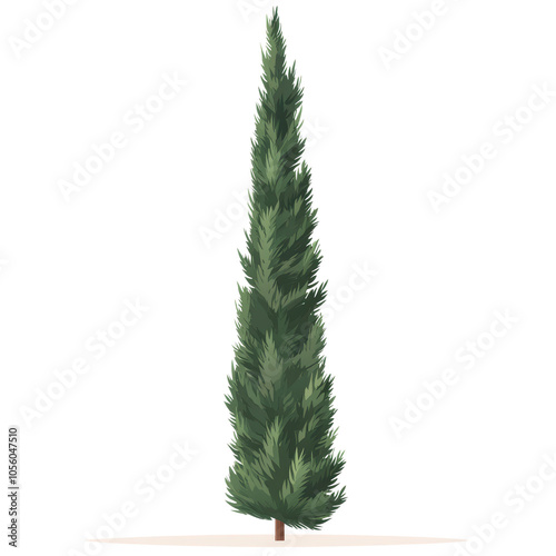 A majestic cypress tree stands tall against a soft, sandy isolated on transparent background, cut out, png, cartoon style illustration, a testament to nature's enduring strength and beauty