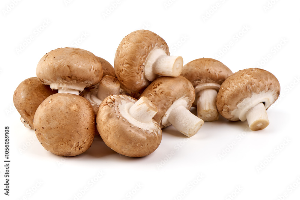 Royal brown champignons, isolated on white background. Royal brown champignons, isolated on white background.