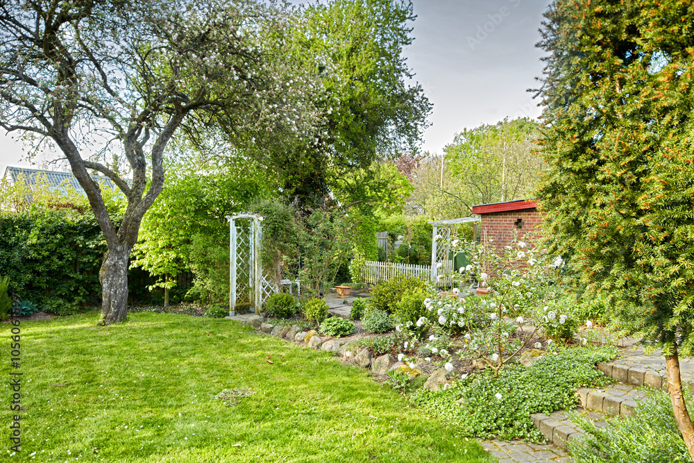 Bush, grass and trees in garden of home for outdoor landscaping or real estate development. Flowers, growth and spring with backyard in residential neighborhood for botany or horticulture Bush, grass and trees in garden of home for outdoor landscaping or real estate development. Flowers, growth and spring with backyard in residential neighborhood for botany or horticulture