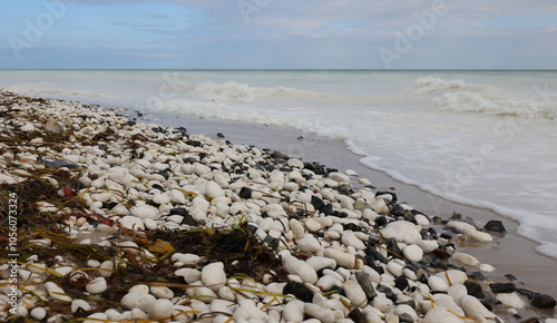 rocky beach Baltic Sea waves crashing shoreline nobody photo