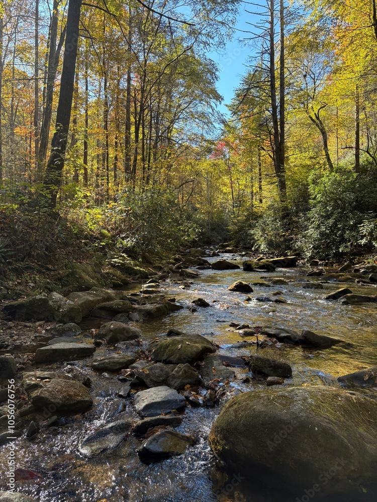 Colorful Fall day in river leaves falling water rushing over rocks fishing wildlife nature Blue ridge mountains green Colorful Fall day in river leaves falling water rushing over rocks fishing wildlife nature Blue ridge mountains green