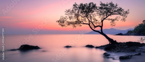 Serene sunset over a calm sea with a solitary tree on the shore.