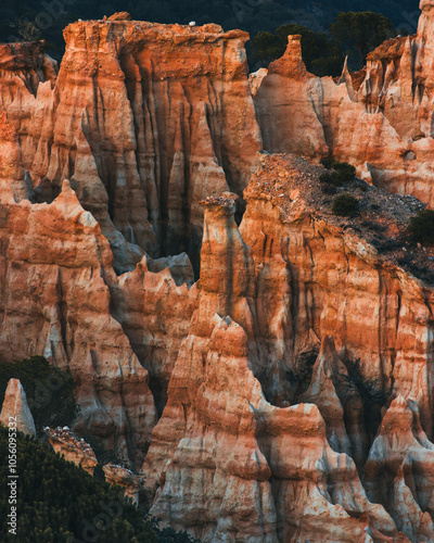 Orgues - Ille-sur-Têt 