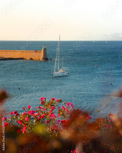 sailboat in the bay