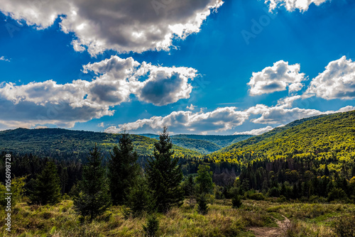 Landscapes - Forest - Europe, Romania, Suceava region