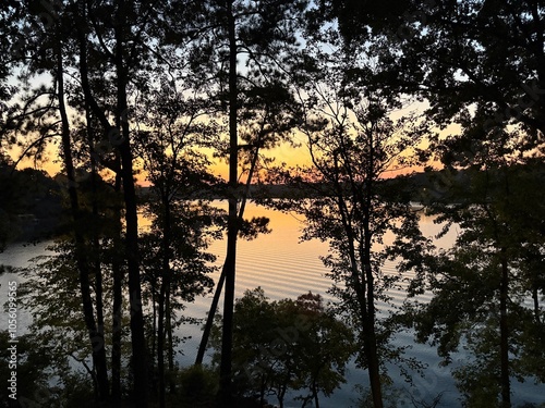 Sunset lake view through pine trees summer evening
