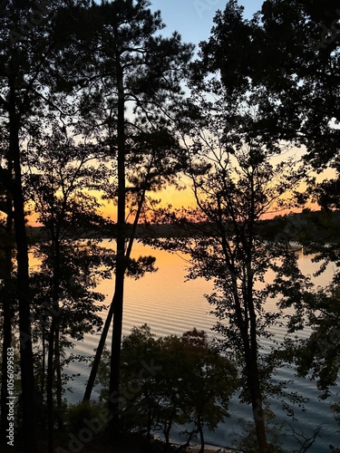 Sunset lake view through pine trees summer evening