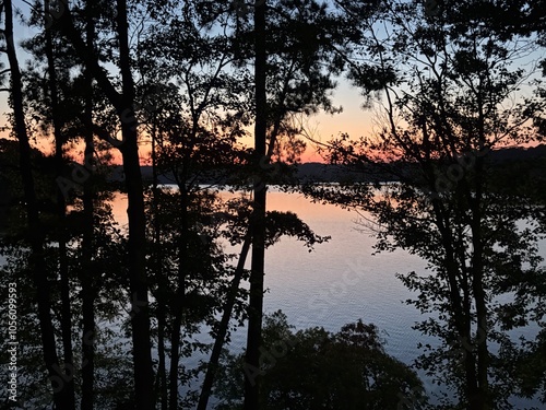 Sunset lake view through pine trees summer evening