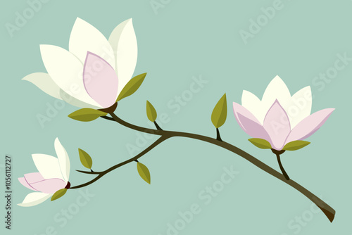magnolia branch  vector illustration 