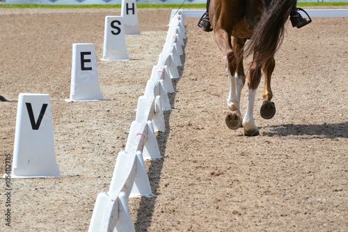 Photography Closeup of a horse's hooves as it makes its way down the fence in a dressage competition
