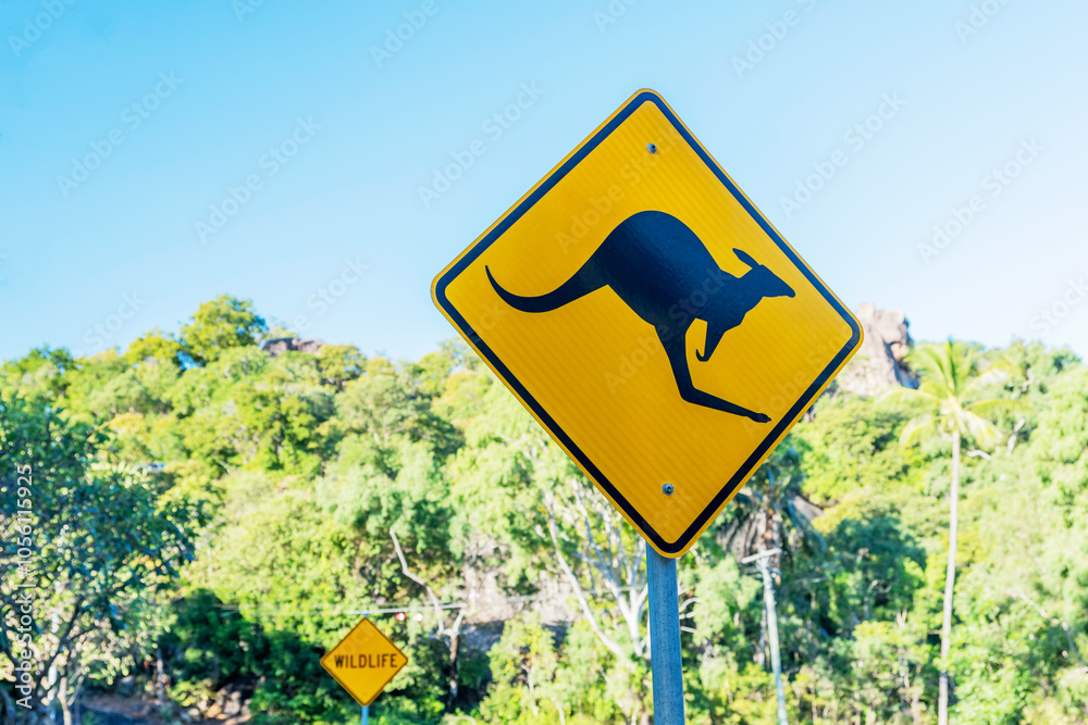 Kangaroo warning sign on road on Magnetic Island, Queensland, Australia