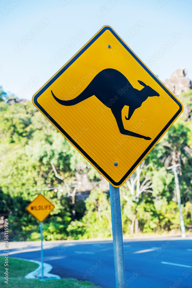 Kangaroo warning sign on road on Magnetic Island, Queensland, Australia
