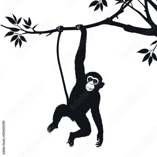 Photography a monkey a monkey hanging on the tree stick vector silhouette