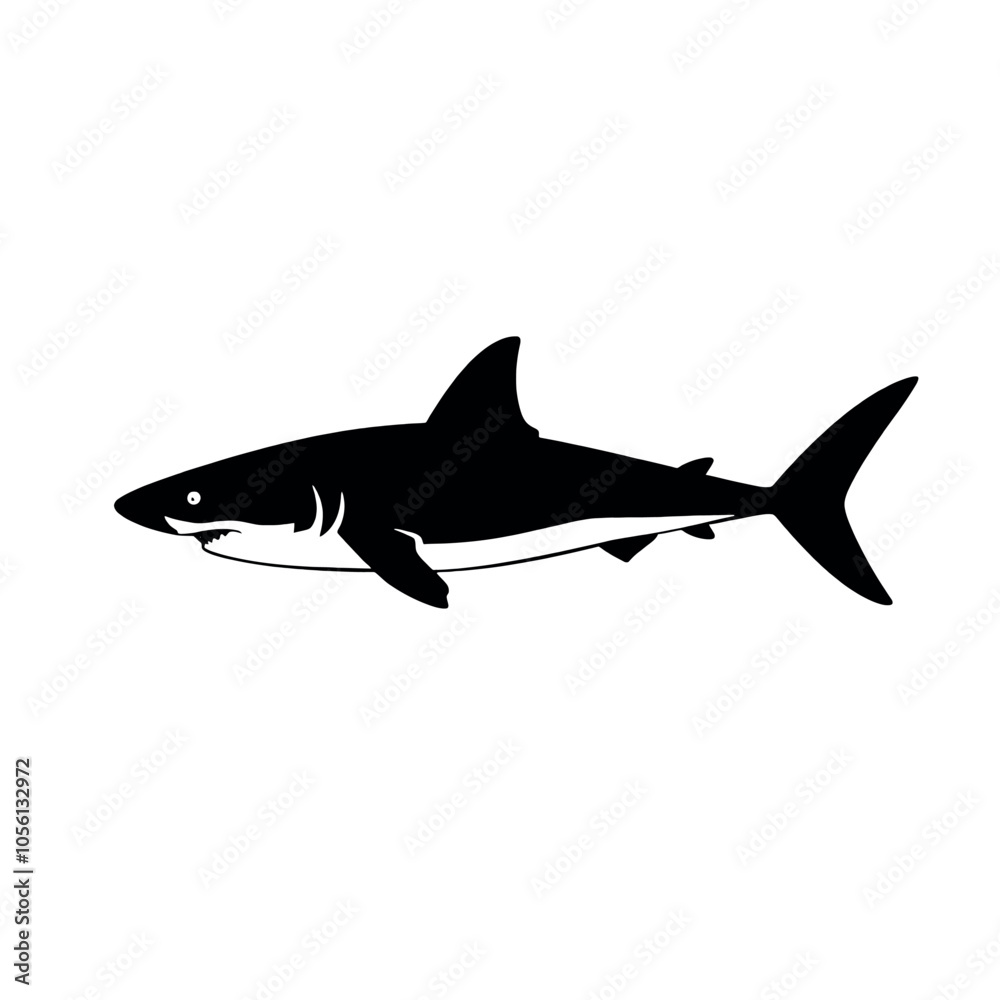 Fototapeta premium a shark vector silhouette, black color silhouette