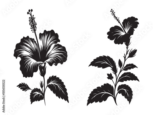Hibiscus Flower Silhouette Vector Design