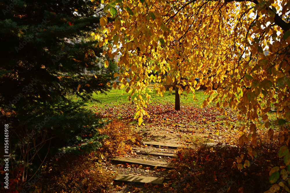 aleja w parku jesienią, kamienna ścieżka w parku z jesiennymi, kolorowymi drzewami, path in the park with autumn colorful trees, autumn pathway with fallen leaves and stone steps