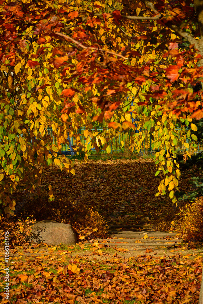 aleja w parku jesienią, kamienna ścieżka w parku z jesiennymi, kolorowymi drzewami, path in the park with autumn colorful trees, autumn pathway with fallen leaves and stone steps