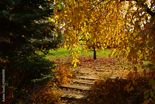 Obraz na płótnie aleja w parku jesienią, kamienna ścieżka w parku z jesiennymi, kolorowymi drzewami, path in the park with autumn colorful trees, autumn pathway with fallen leaves and stone steps w salonie