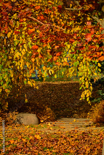 Obraz na płótnie aleja w parku jesienią, kamienna ścieżka w parku z jesiennymi, kolorowymi drzewami, path in the park with autumn colorful trees, autumn pathway with fallen leaves and stone steps w salonie