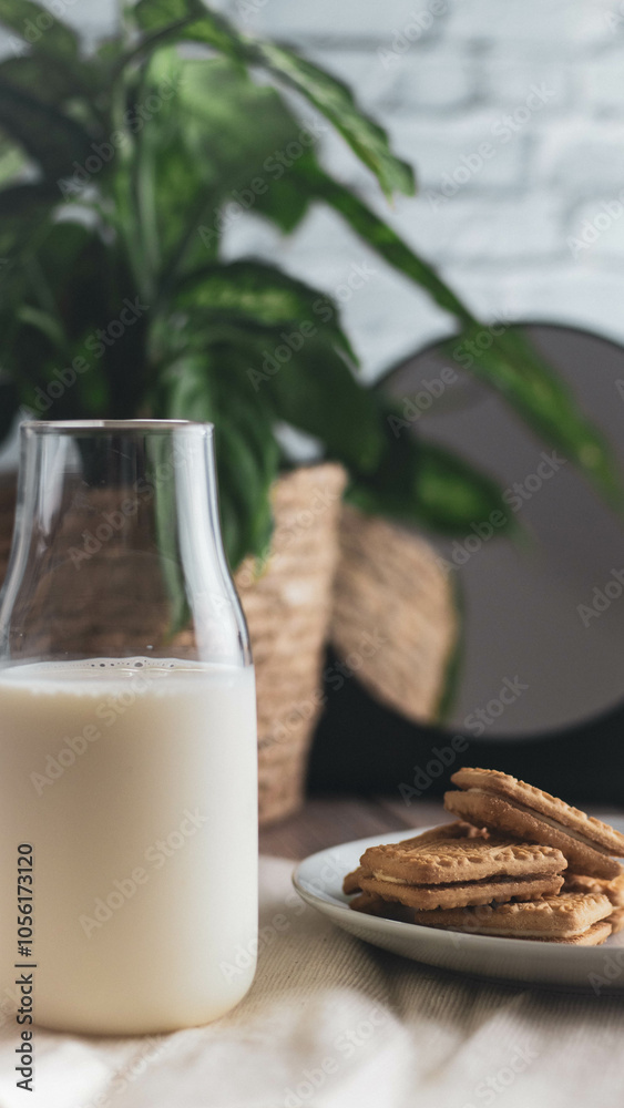 cookies and milk, mirror reflection, plant in the background. cookies and milk, mirror reflection, plant in the background.
