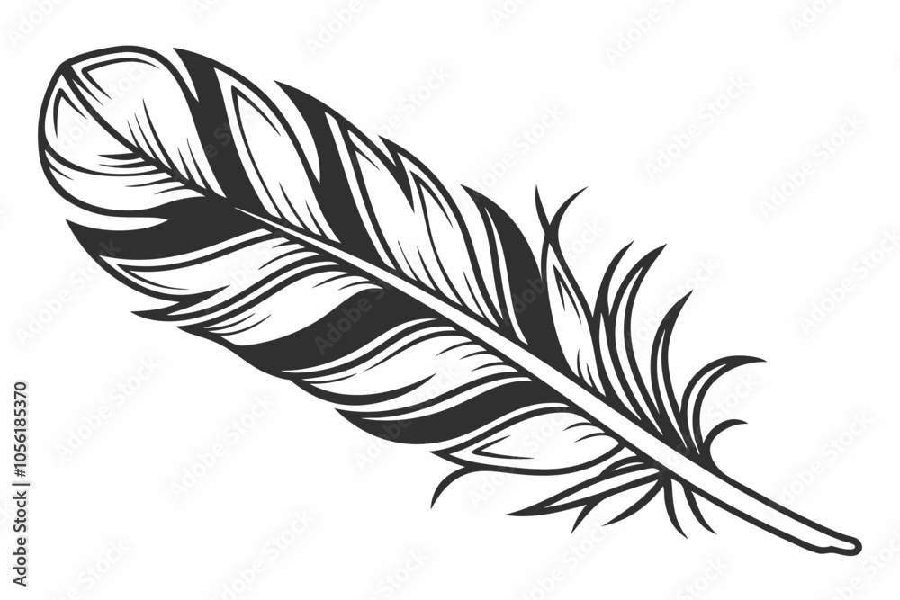 illustration of feather illustration of feather