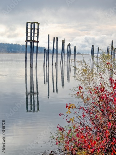 Wood pilings in the calm river behind fall foliage. photo