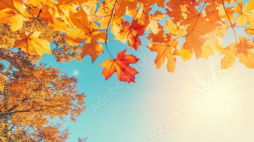 Looking up at autumn treetops glowing in sunlight, blue sky peeking through colorful leaves,  photo