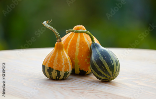 Obraz na płótnie tiny decorated pumpkins with green background w salonie