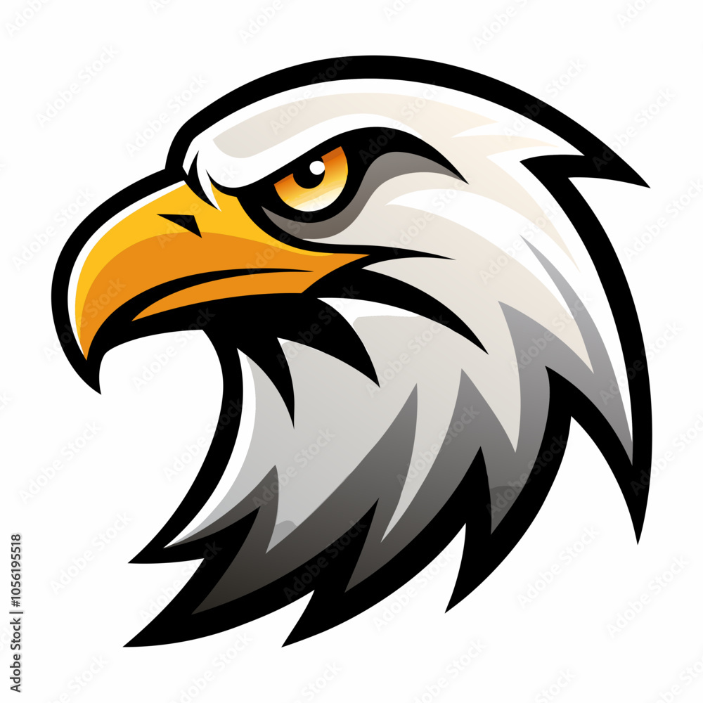 Fototapeta premium bald eagle head