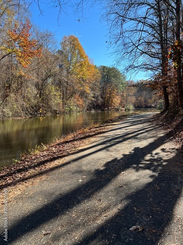 Fall leaves along the river with tree shadows