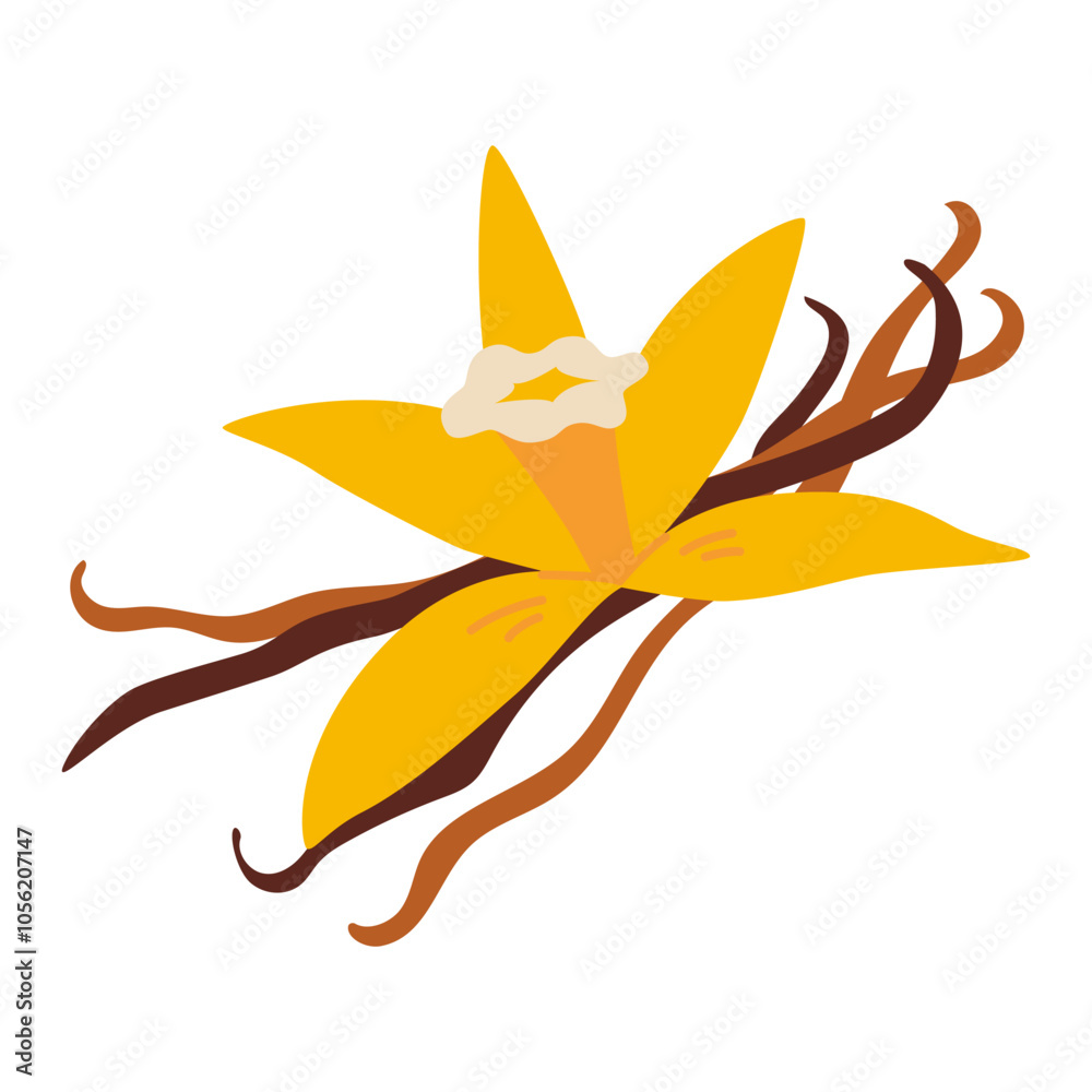 Vanilla flower with dried vanilla sticks. Trendy modern vector illustration isolated on white background Vanilla flower with dried vanilla sticks. Trendy modern vector illustration isolated on white background