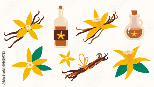 Vanilla flower with dried vanilla sticks, syrup and essential oil in bottle. Trendy modern vector illustration isolated on background.