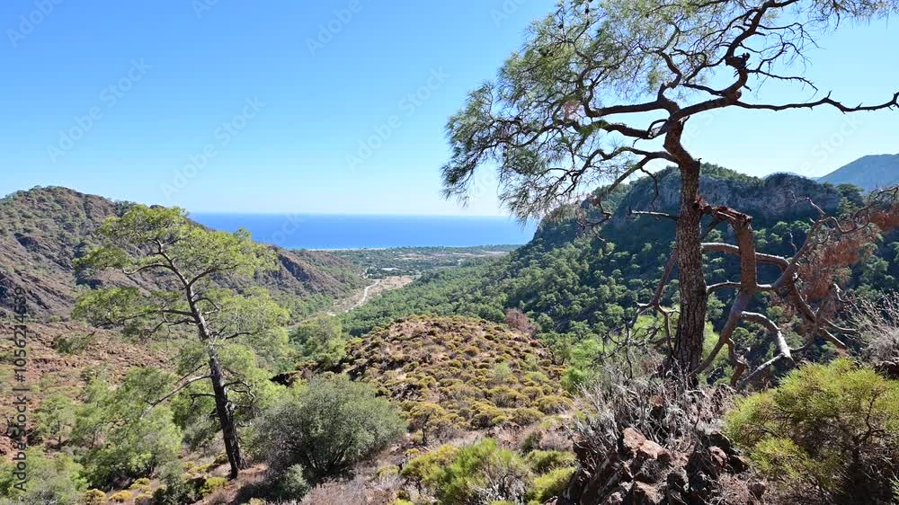 Scenic View of Cirali Valley and Mediterranean Sea
.Natural flames emerge from rocks at Yanartas in Antalya’s Olympos National Park, an ancient site with continuous fires fueled by natural gas.
Scenic View of Cirali Valley and Mediterranean Sea
.Natural flames emerge from rocks at Yanartas in Antalya’s Olympos National Park, an ancient site with continuous fires fueled by natural gas.