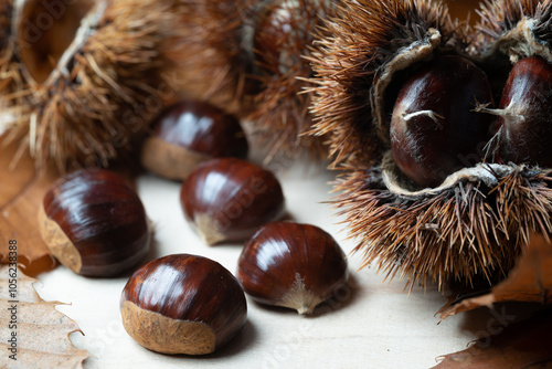 Close-up image of sweet edible chestnuts, friuts of fall season, on a wooden table, with their brown autumn lanceolate leaves and a spiny open burr. photo