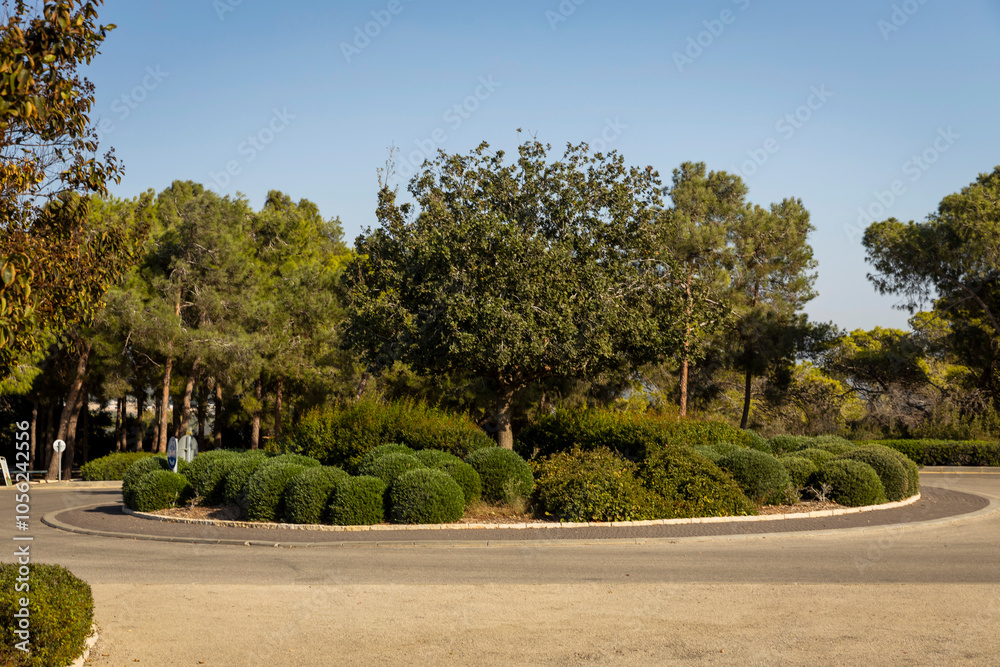 Circular intersection on the road. Inside, there are bushes and a ficus planted. The road leads to the park. Circular intersection on the road. Inside, there are bushes and a ficus planted. The road leads to the park.
