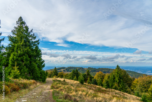 Fototapeta Naklejka Na Ścianę i Meble -  Autumn in Beskidy Mountains